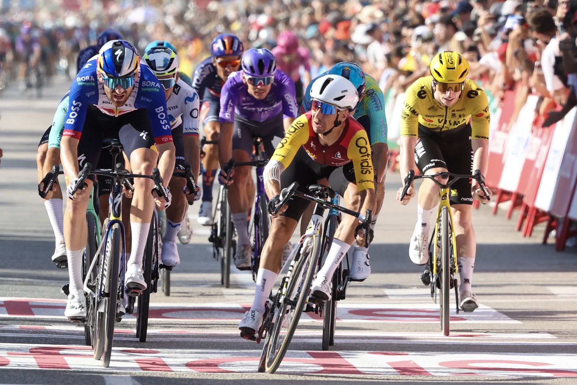2026-08-30-cyclingnews-lavuelta-stage8-coquard-pogacar-0800 source image for YOYO bicycle industry report